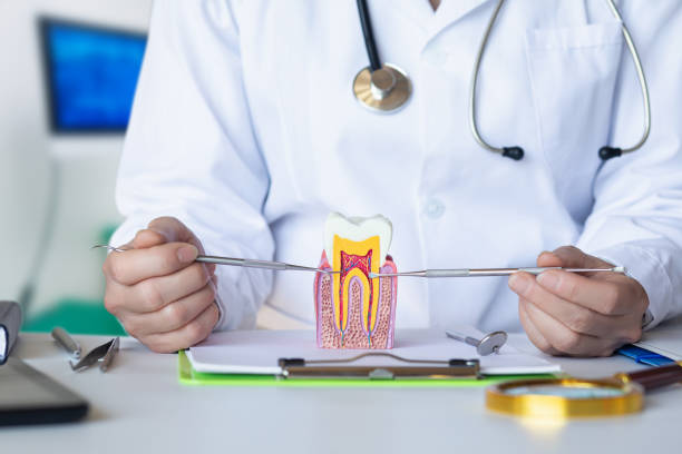 Best Emergency Dentist for Lost Fillings or Crowns in Bethany, WV